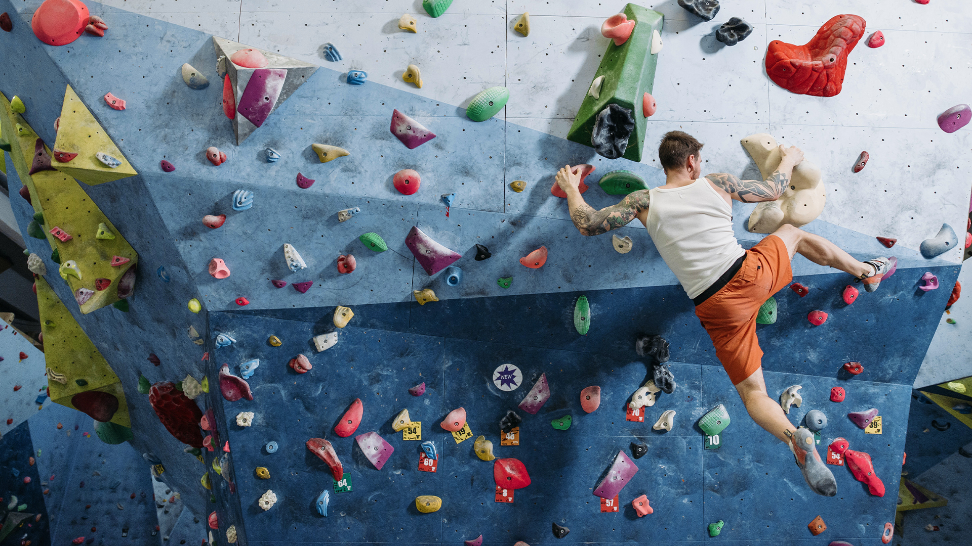 Person doing indoor wall climbing