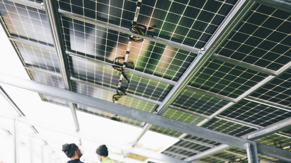 Two men walking under solar panels